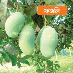 Fazli Mango 20 KG